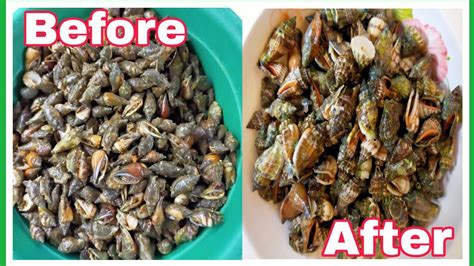shell sa tagalog|shell in Tagalog .